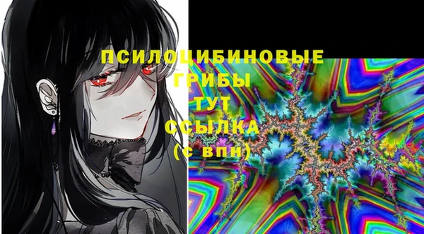 прущая мука Дмитриев