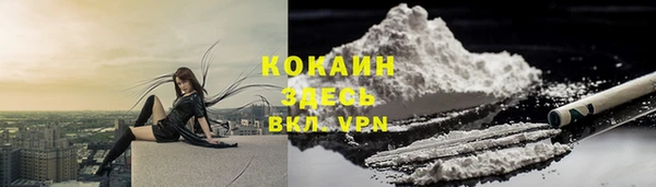 прущая мука Дмитриев