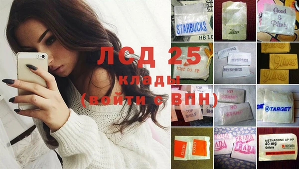 прущая мука Дмитриев