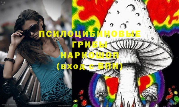 прущая мука Дмитриев