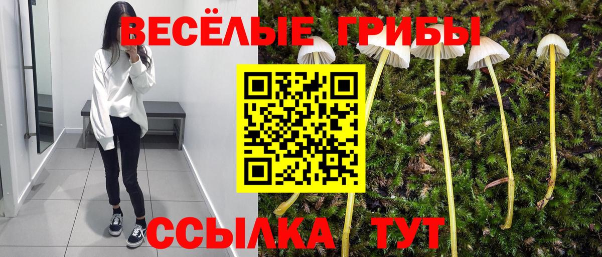 Назарово  Галлюциногенные грибы мухоморы  Вход с VPN 